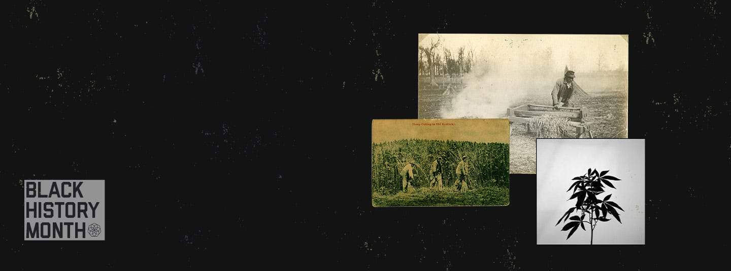 Collage of hemp plants, crop fields, and a Black History Month sign.