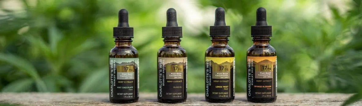 What is Full-Spectrum Hemp Extract? CBD, CBG, CBN, and More