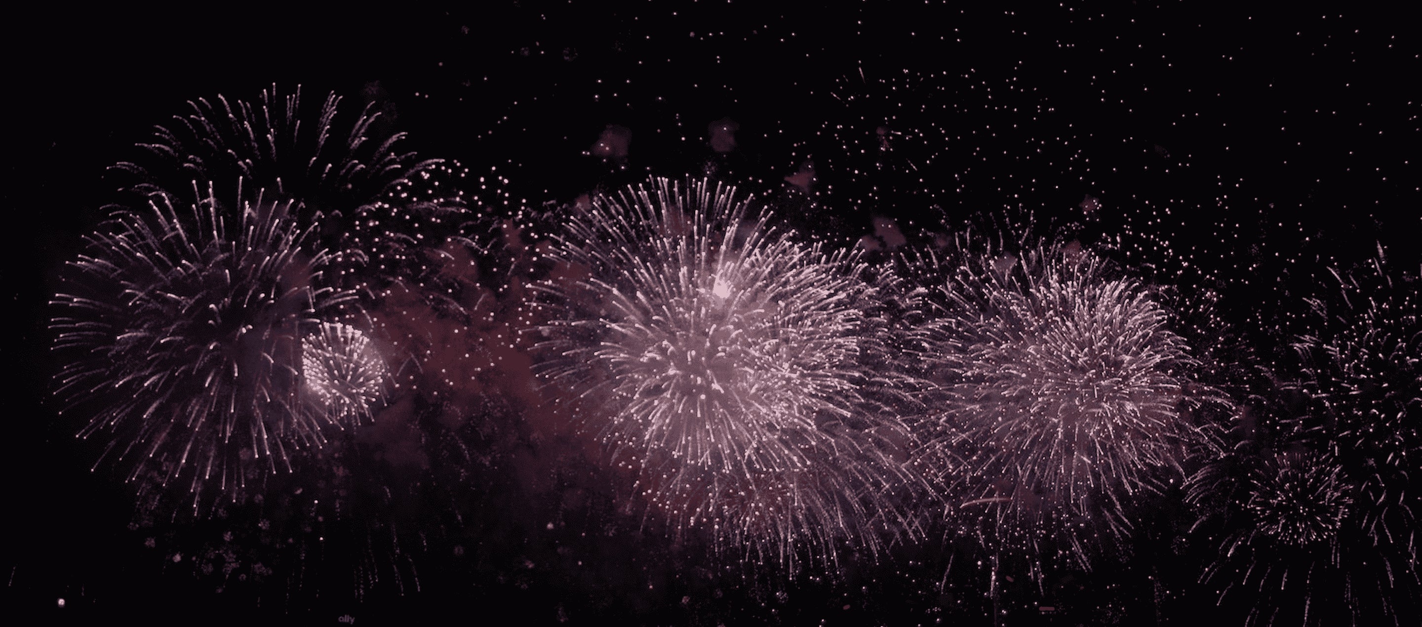 Pink fireworks against a dark, black sky.
