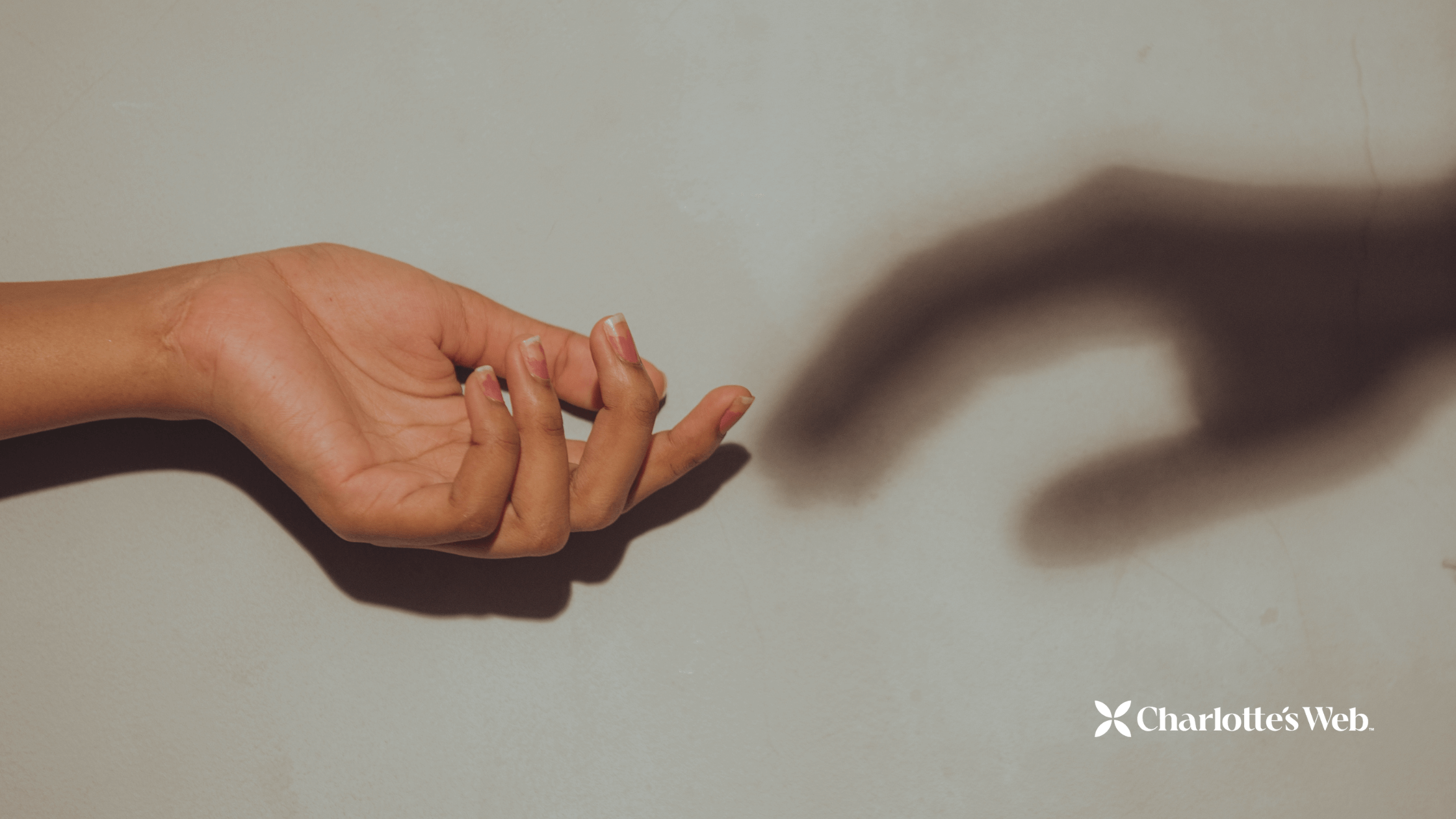 Hand and a shadow of a hand reaching out against a white wall.