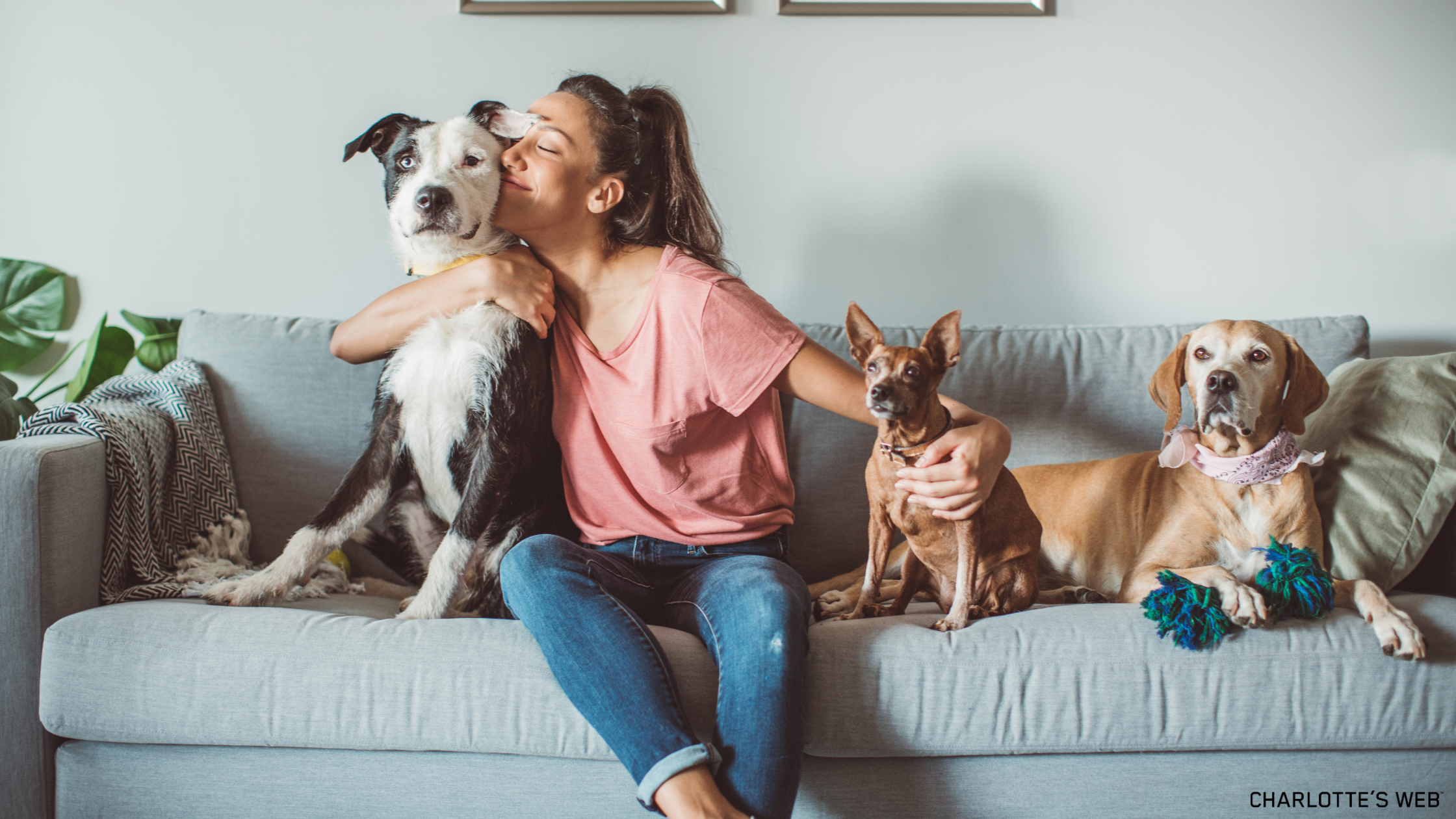 The image captures the bond between a pet lover and their furry companions, perfect for celebrating the love between pet parents and their dogs.