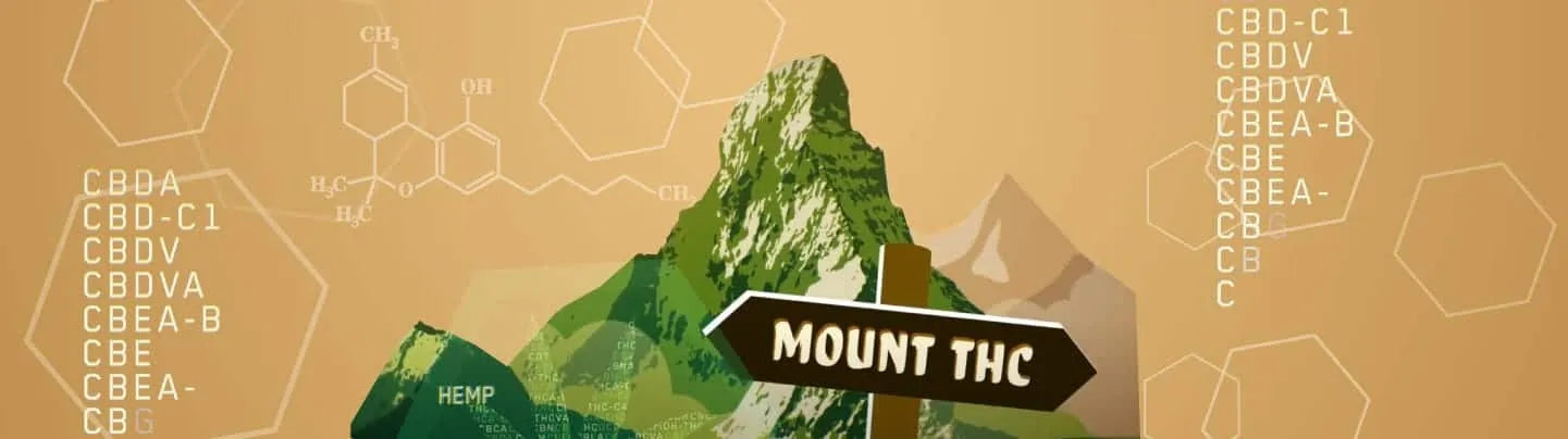 Illustration of a mountain that has a sign that reads 'Mount THC'.