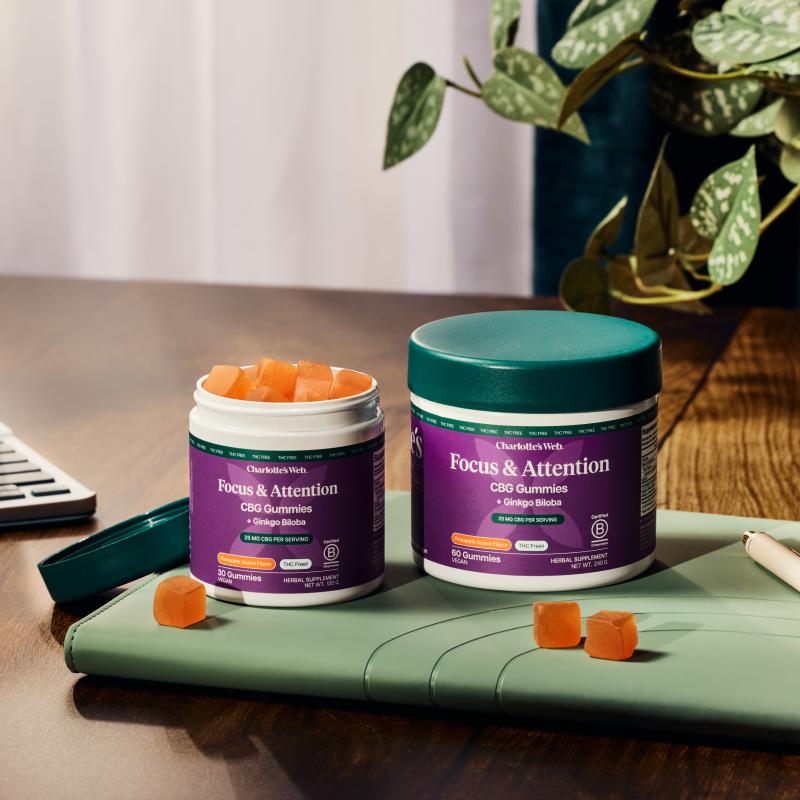 Two containers of 'Focus & Attention' CBD gummies on a desk with a plant in the background.