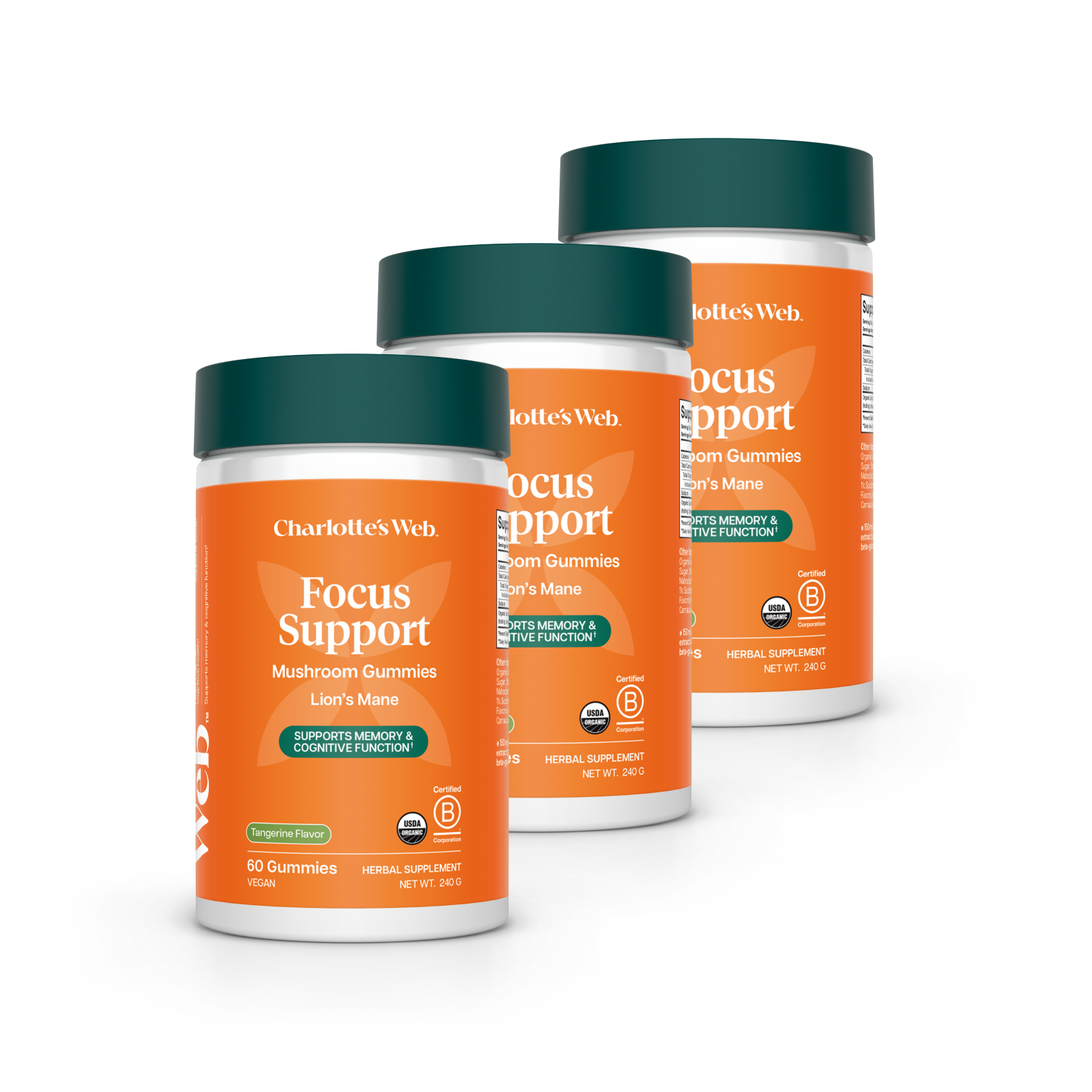 Three bottles of Charlotte's Web Focus Support supplement on a white background