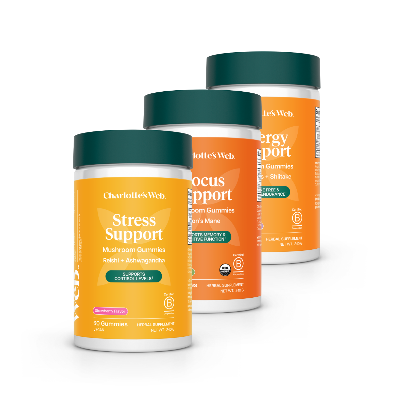 Three bottles of Charlotte's Web supplements on a white background