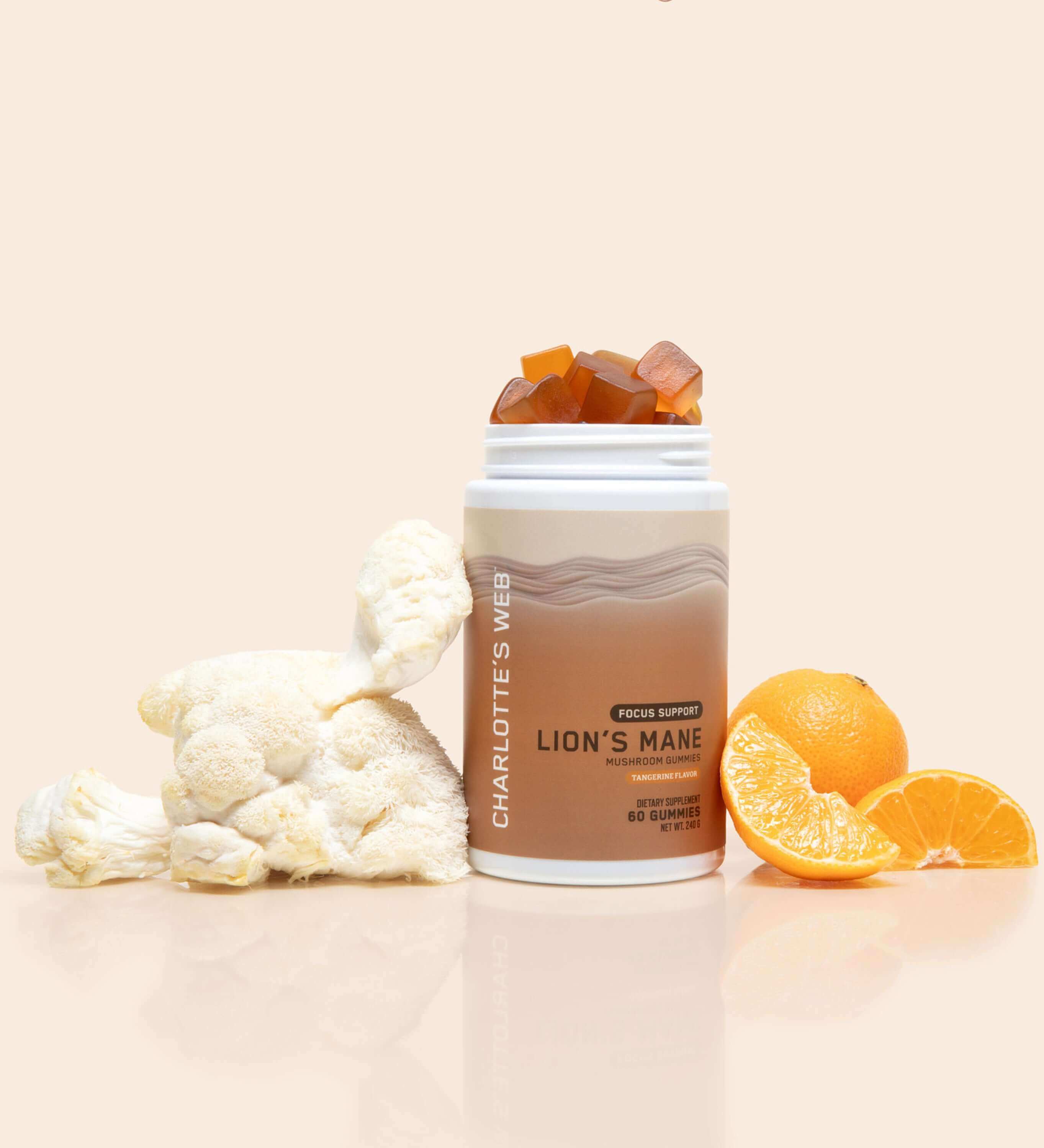 Focus Support with Lion's Mane Mushroom Gummy