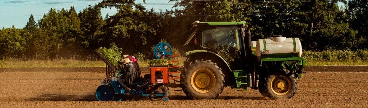 Inside Charlotte’s Web™: Our Hemp Production Process, Explained