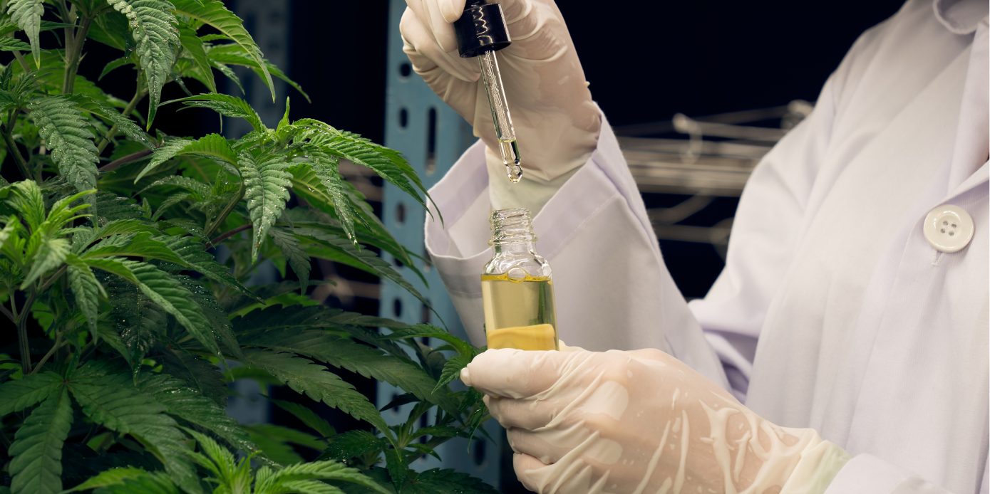 Hemp extract in a lab with hemp plant in the background