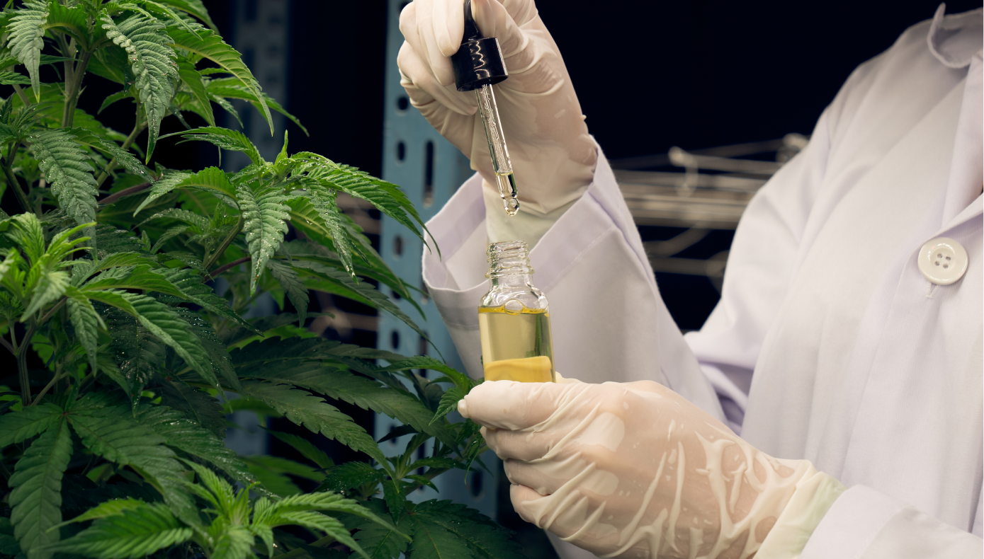 Hemp extract in a lab with hemp plant in the background