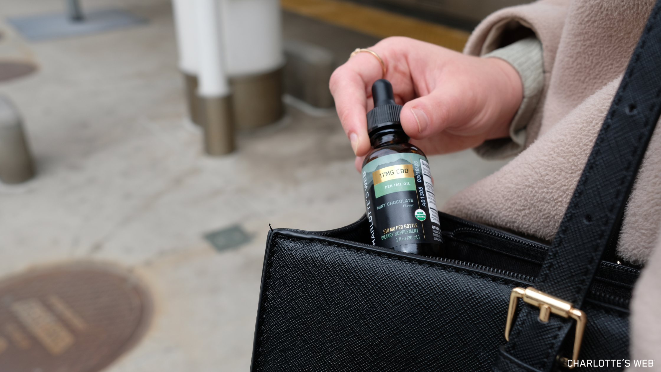 Person pulling Charlotte's Web Mint Chocolate flavor full spectrum hemp extract CBD oil from a black handbag, seemingly on-the-go.