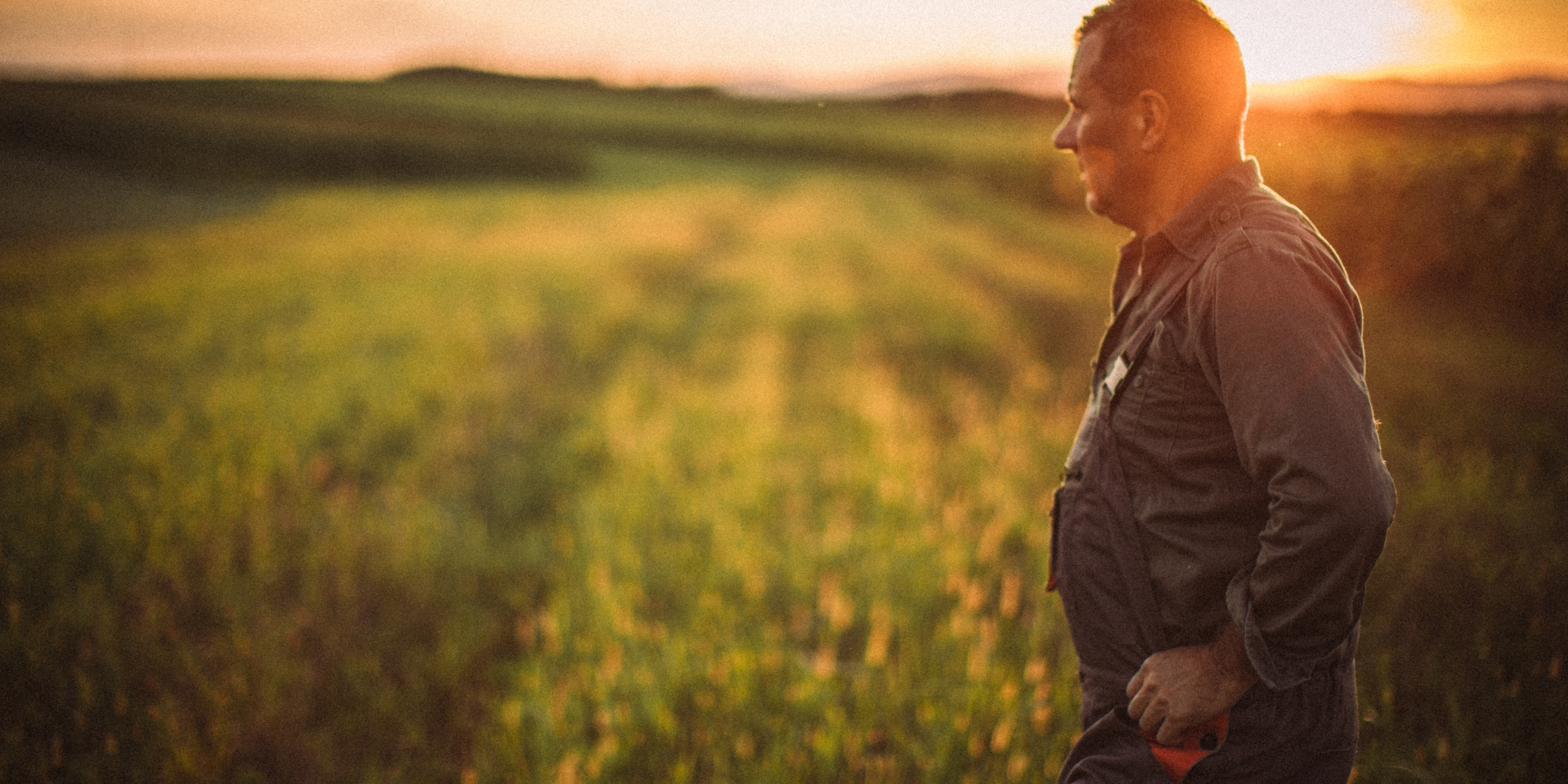 Farmer standing in a field at sunset. 