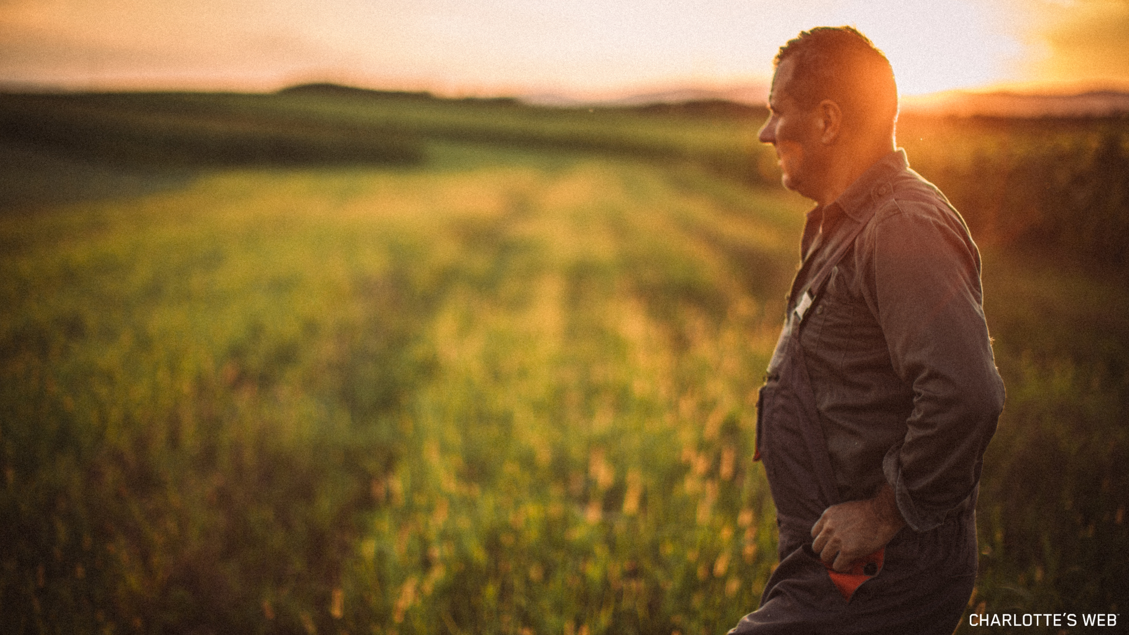 Farmer standing in a field at sunset. 