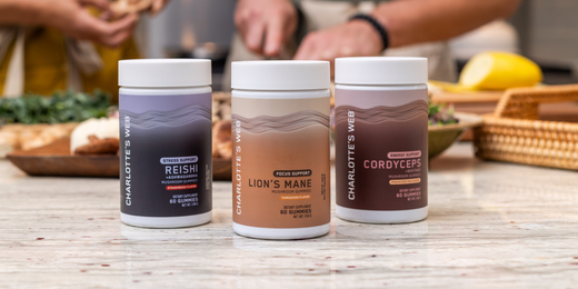 Charlotte’s Web Stress, Focus, and Energy Support Mushroom Gummies displayed on a kitchen counter. These hemp-free gummies feature Reishi, Lion’s Mane, and Cordyceps mushrooms, providing targeted support for stress relief, cognitive function, and energy.