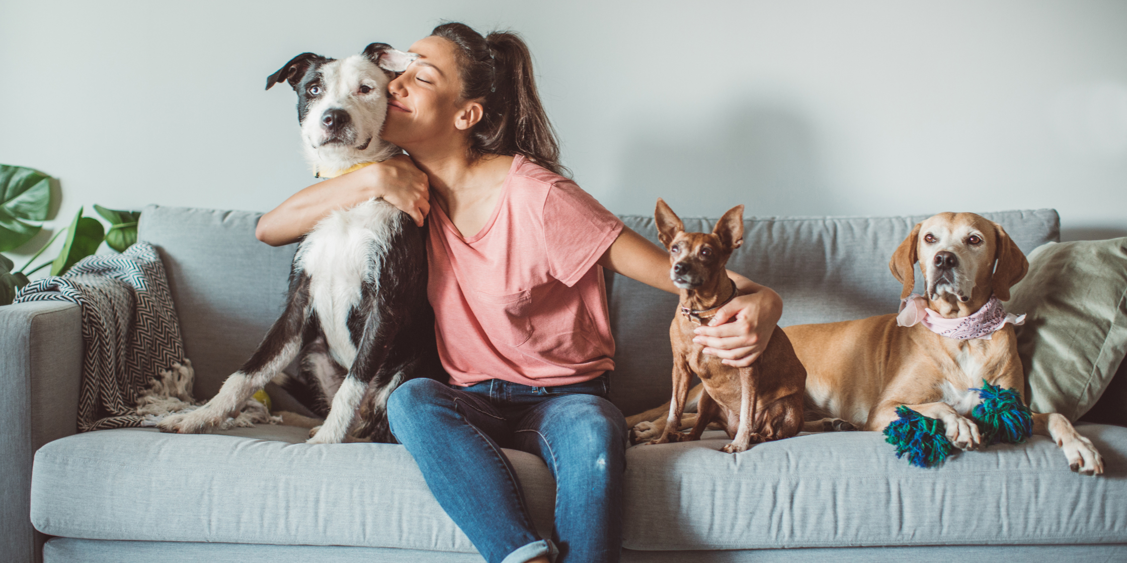 The image captures the bond between a pet lover and their furry companions, perfect for celebrating the love between pet parents and their dogs. 