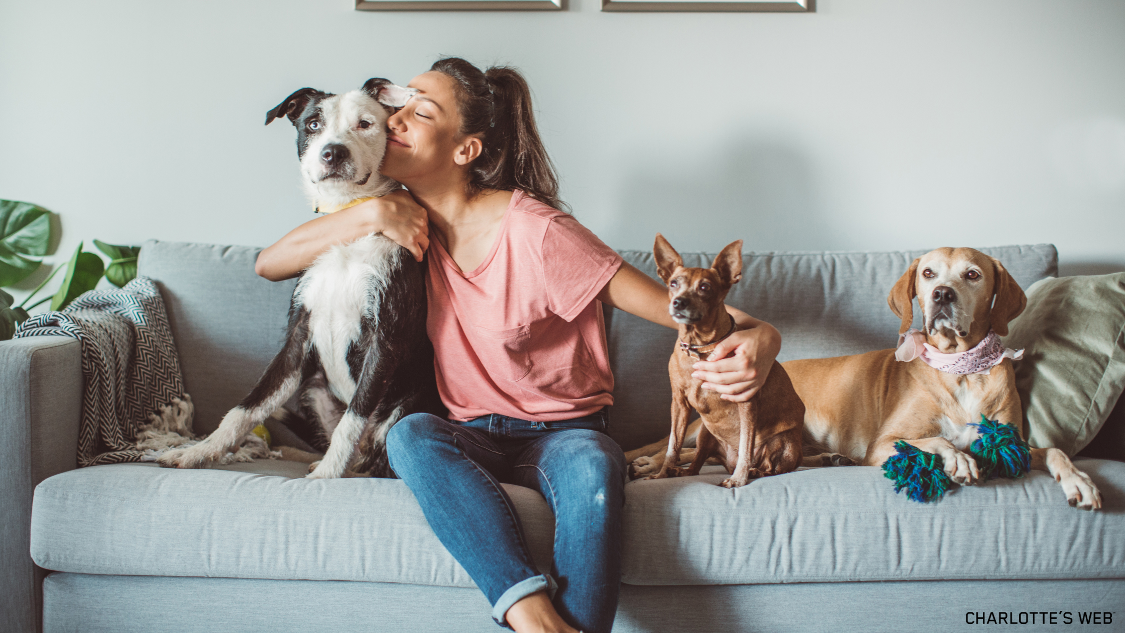 The image captures the bond between a pet lover and their furry companions, perfect for celebrating the love between pet parents and their dogs. 