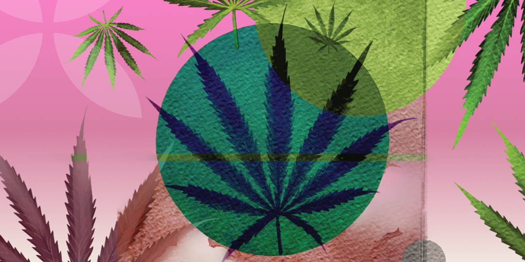 What is THC? The Most Famous Cannabinoid