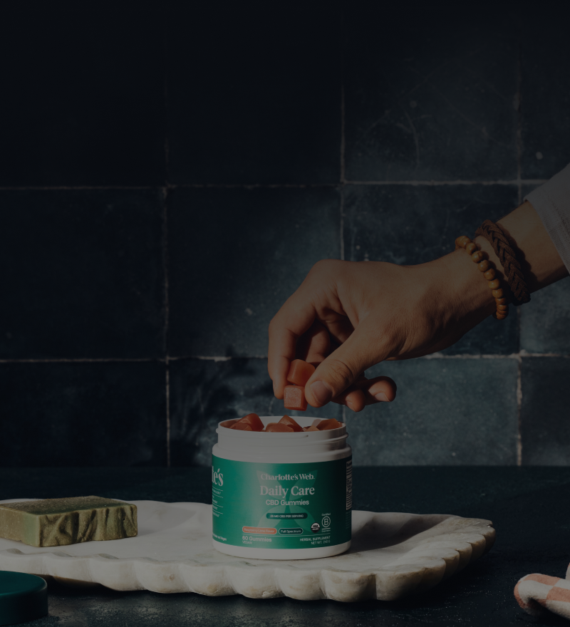 Person holding a container of pet treats with a dark tiled wall background