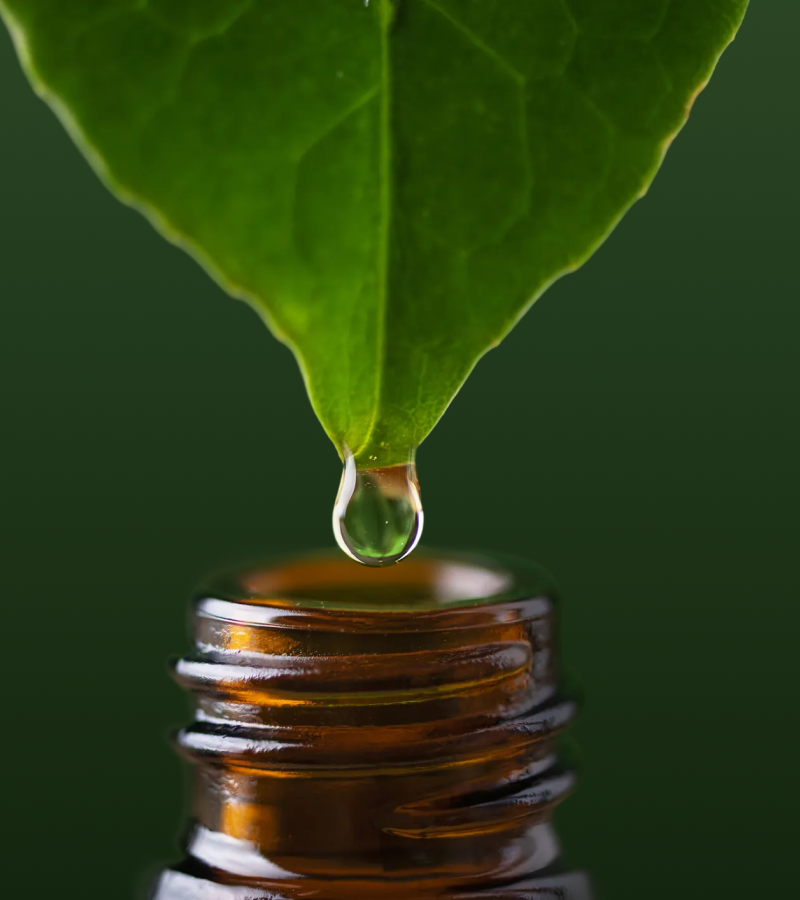 Green leaf with a droplet of water over an amber glass bottle on a dark background