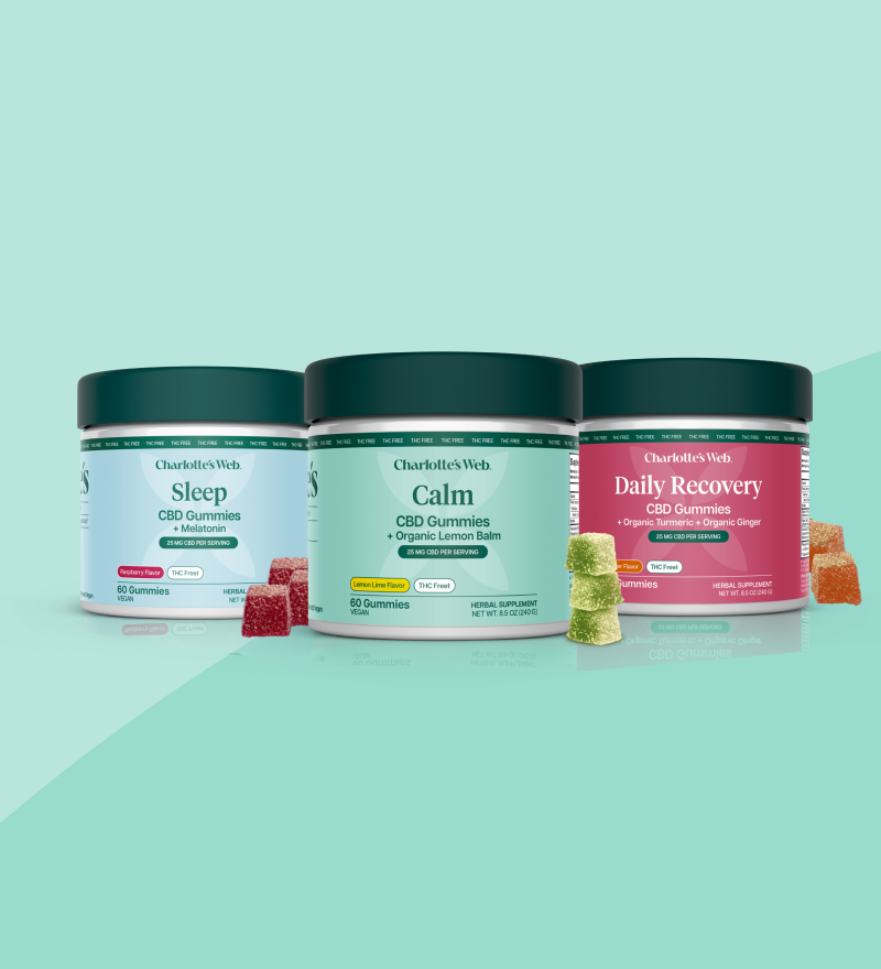 Three jars of Charlotte's Web CBD gummies arranged side by side on a mint green background. The jars are labeled Sleep, Calm, and Daily Recovery, with small gummy candies placed in front of each jar.