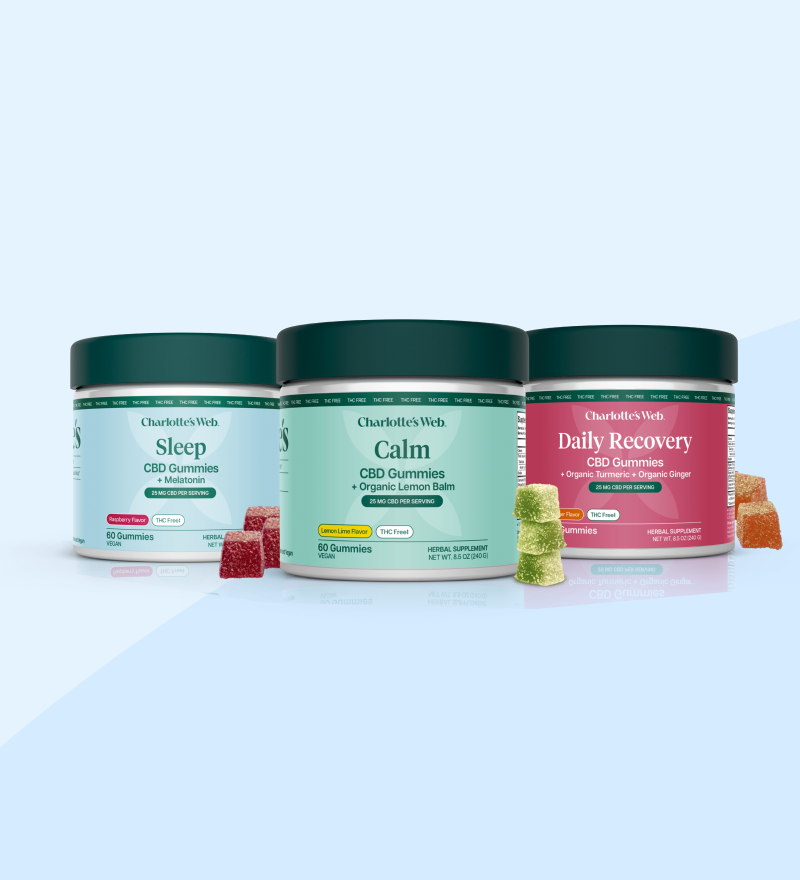 Three Charlotte's Web CBD gummies jars labeled Sleep, Calm, and Daily Recovery, arranged side by side on a light blue background with small gummy candies placed in front of each jar.