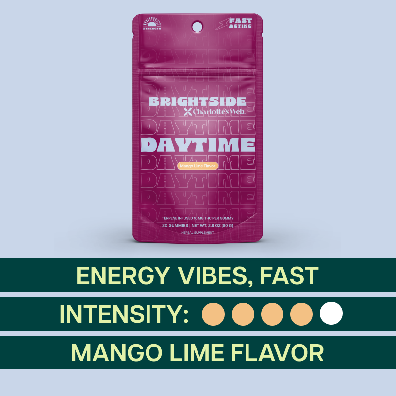 Purple package of Charlotte's Web Brightside Daytime gummies on a blue background with text about flow state, intensity, and flavor.