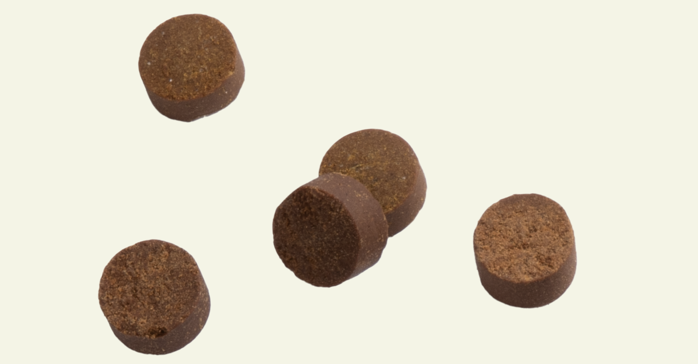 Brown circle dog treats on a beige background