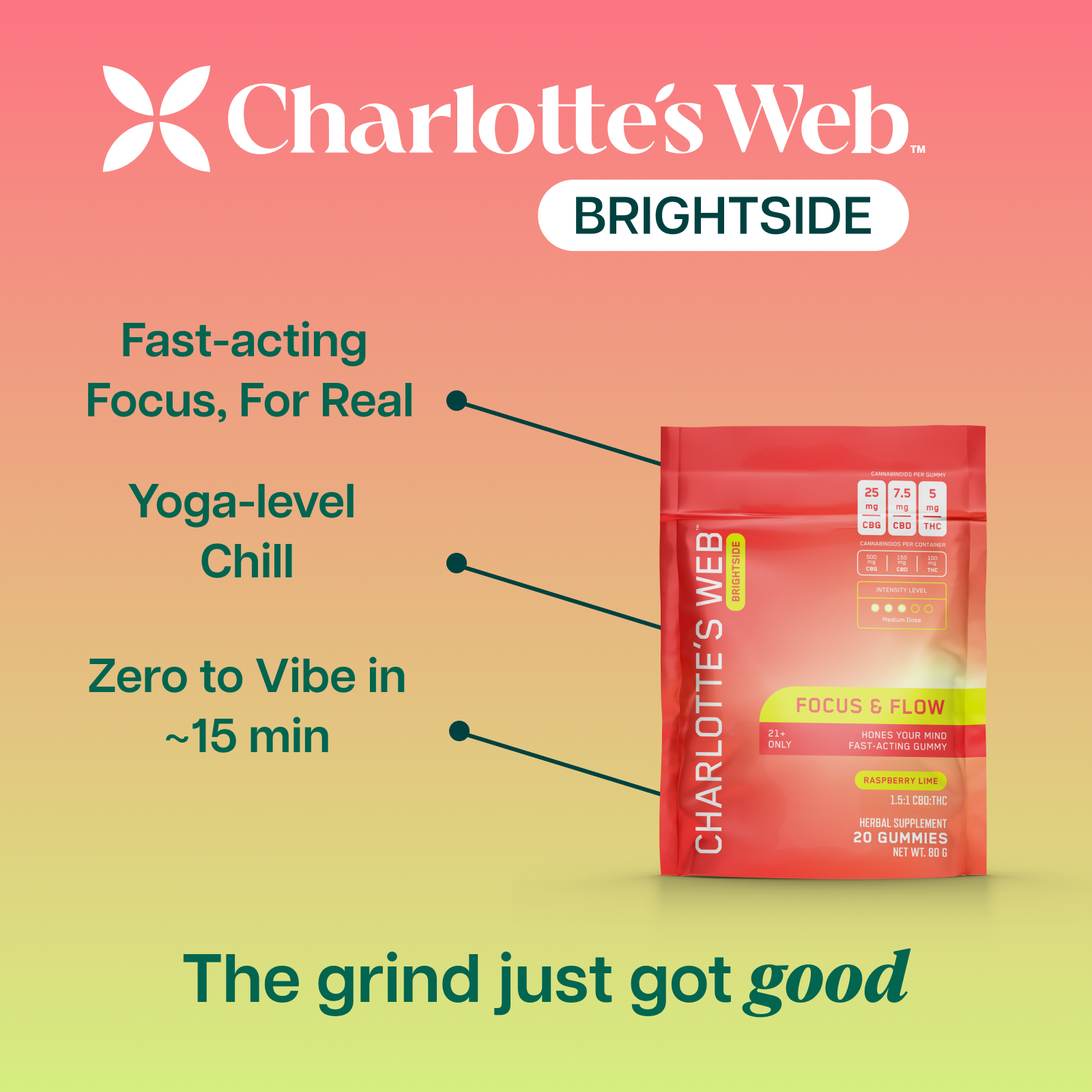 Product Image for THC Gummies Bundle