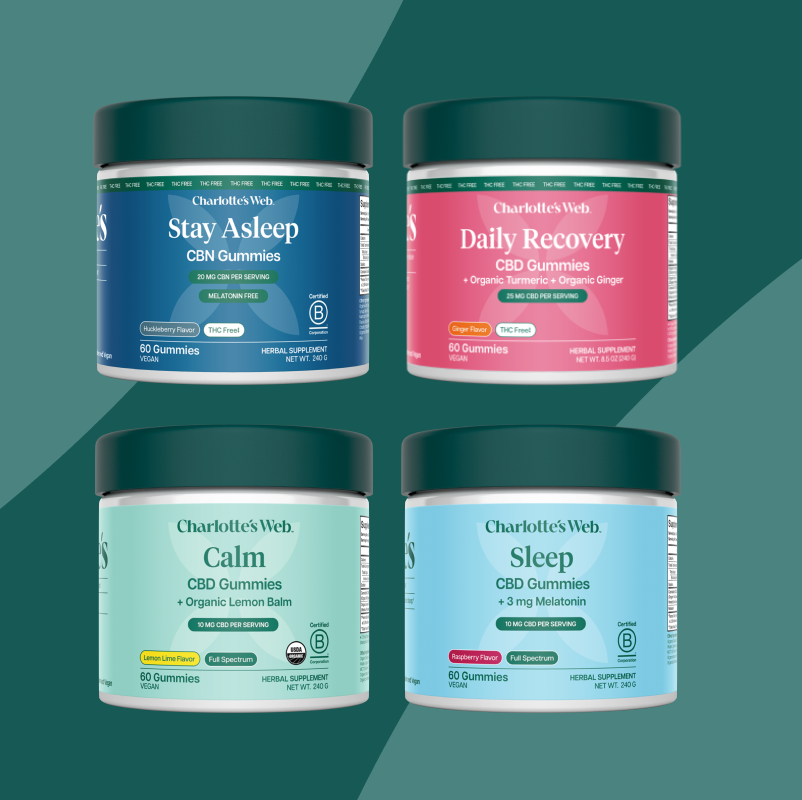 Four Charlotte's Web gummies jars labeled: Daily Recovery, Stay Asleep, Calm, and Asleep lined up on the right side of a teal and mint background.