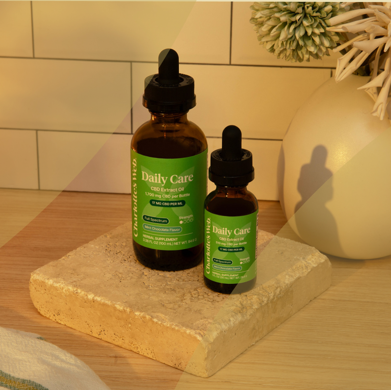 Two Daily Care CBD oil bottles with green labels, one larger and one smaller, displayed on a stone slab next to a beige ceramic vase on a tiled surface.