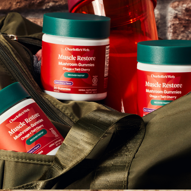 Multiple containers of Charlotte's Web Muscle Restore Mushroom Gummies in a gym bag