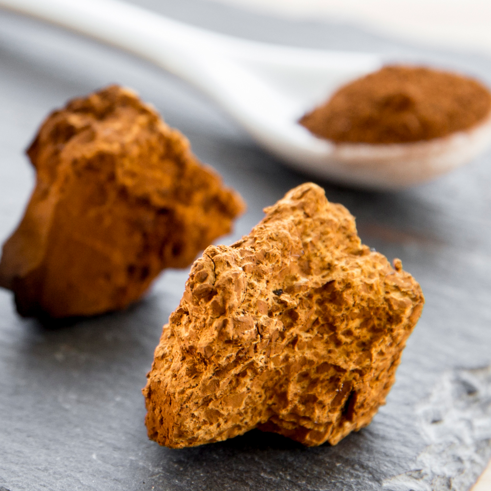 Product Image for Close up of chaga
