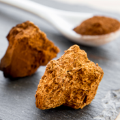 Product Image for Close up of chaga
