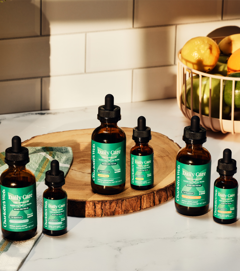 Charlotte's Web Daily Care CBD Oils on wood plate