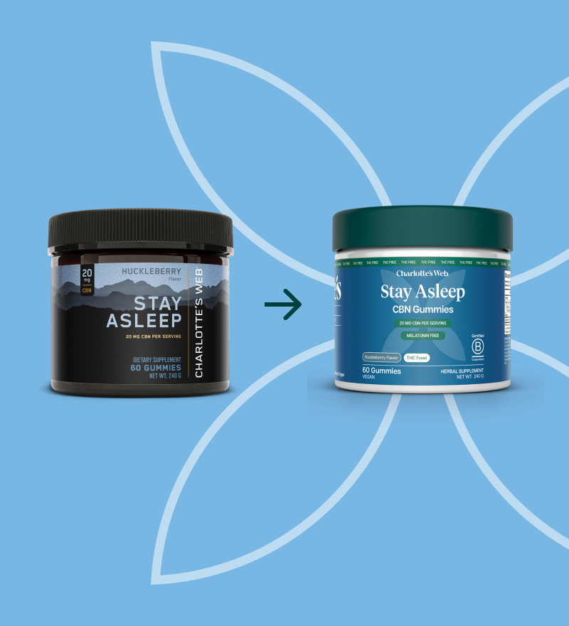 Two containers of Charlotte's Web Stay Asleep gummies on a blue background with a white leaf design.