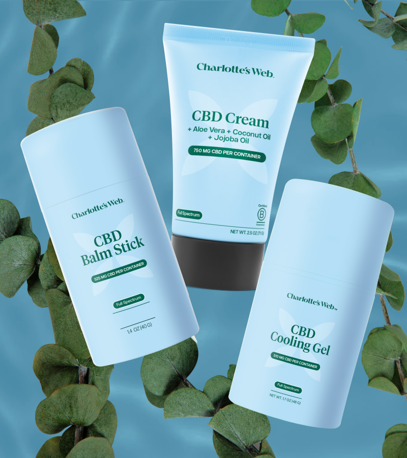 Charlotte's Web balm stick, cream, and cooling gel with eucalyptus leaves over water