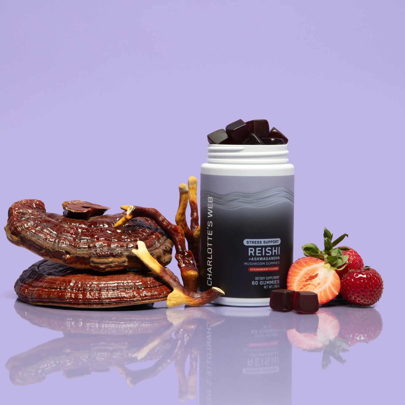 Stress Support with Reishi &amp; Ashwagandha Mushroom Gummy